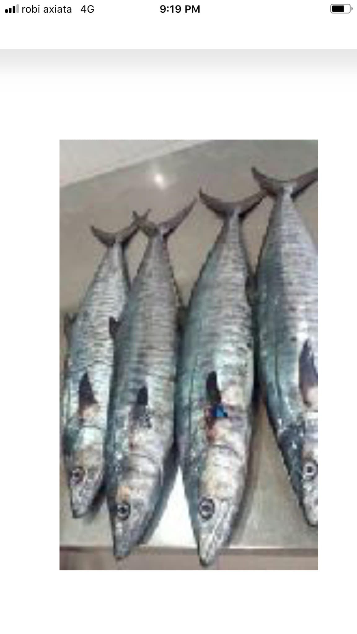 Taz Sea Fish Supplier | Chittagong