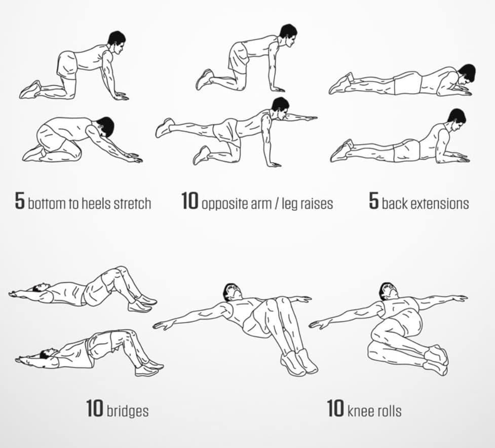 Here are some back movements... - Healthy Evolution Fitness | Facebook