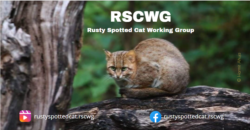 Rusty-spotted Cat Working Group