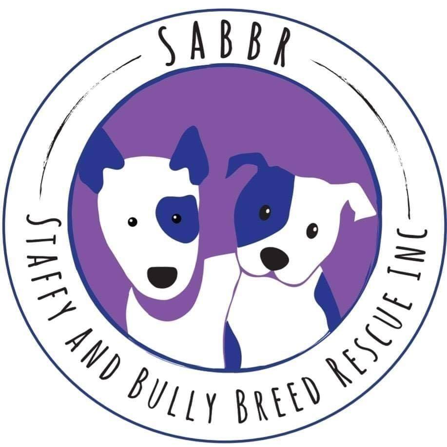 Staffy and Bully... - Staffy and Bully Breed Rescue Inc.