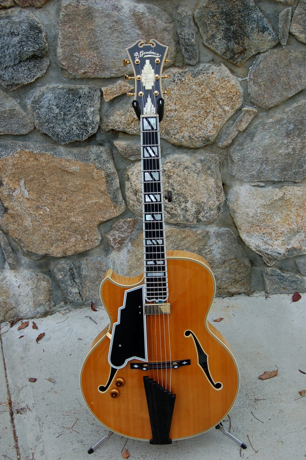 Goodman Guitars - 18