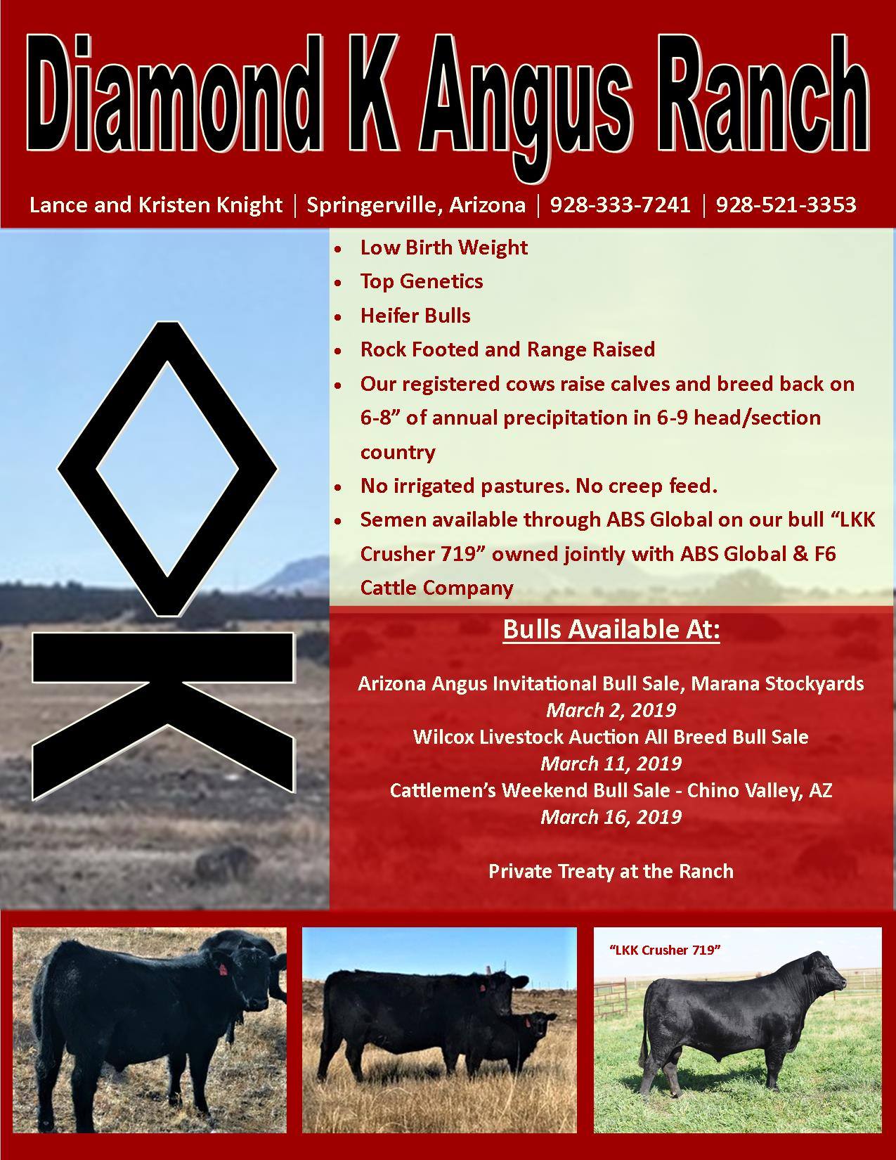 Diamond K Angus Ranch | Springerville AZ