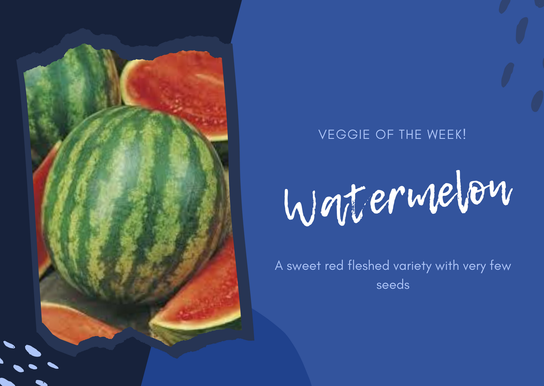 TJ Stockfeeds - 🌱🌱 Veggie of the Week: Watermelon! A great... | Facebook