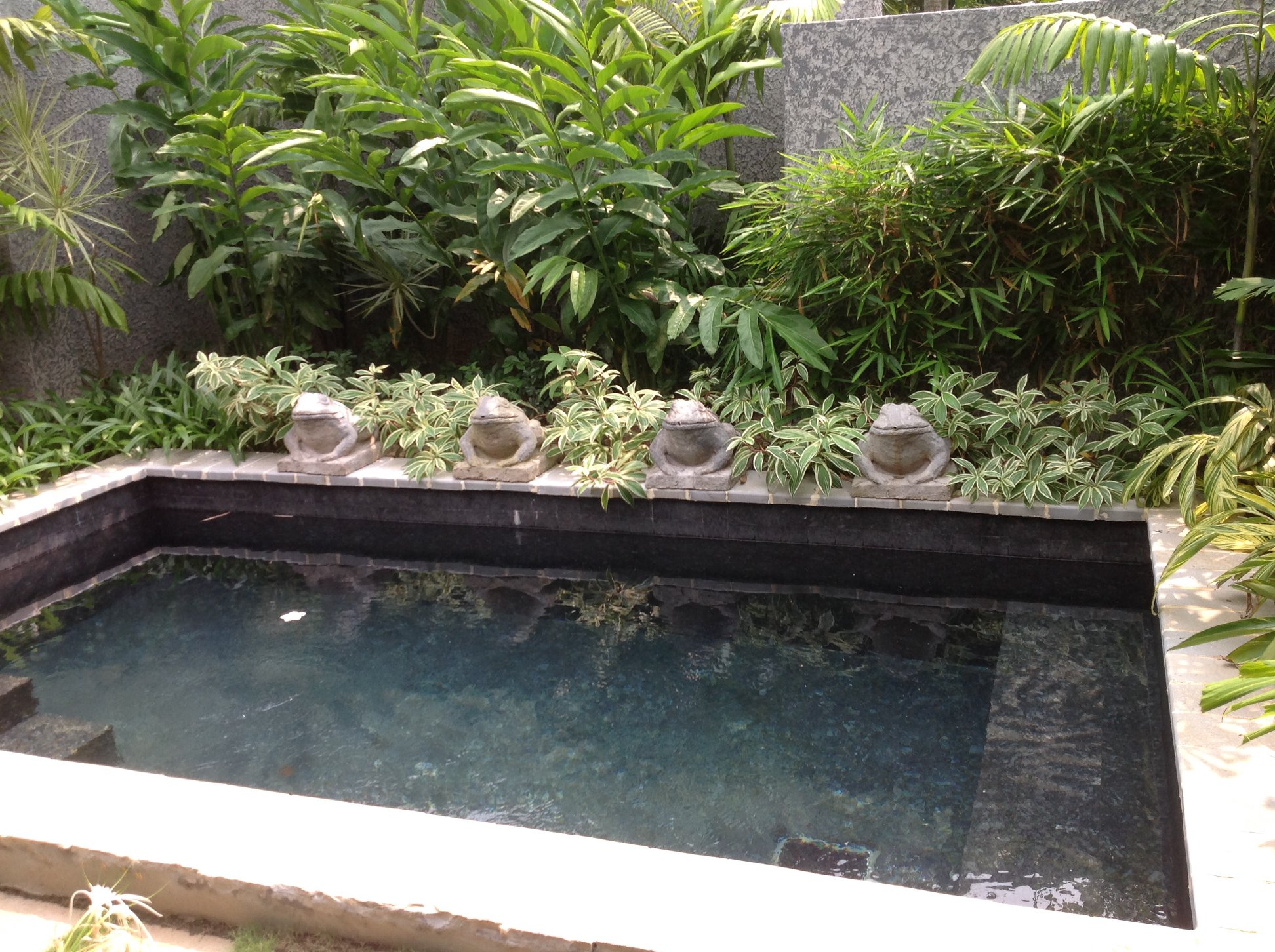 Pool Solutions | Kochi