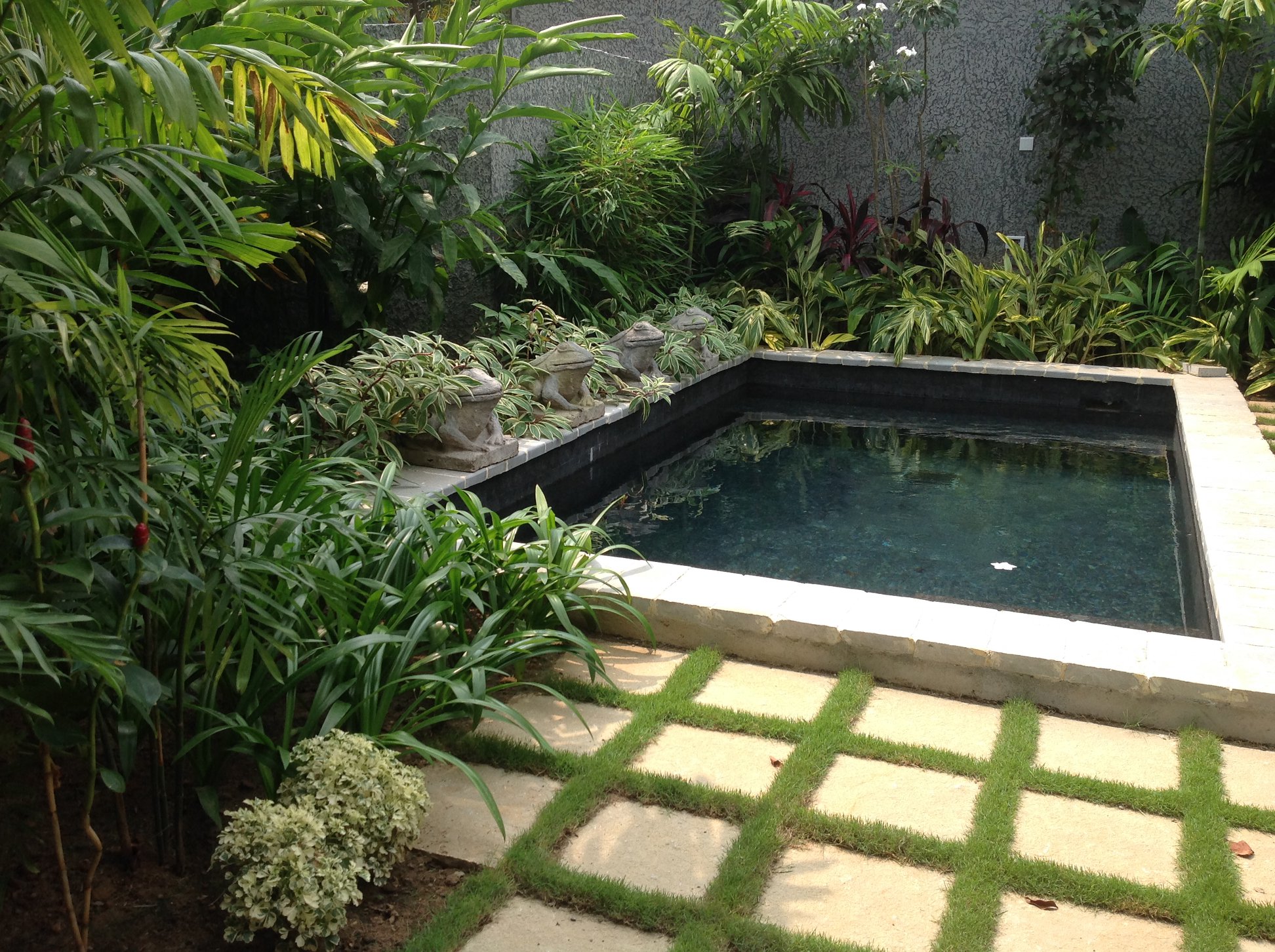Pool Solutions | Kochi