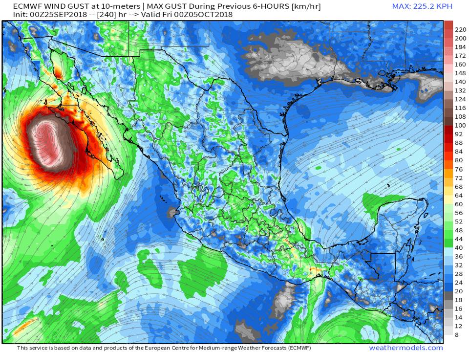 El modelo Europeo... - El Tiempo Meteorológico Nogales Sonora | Facebook
