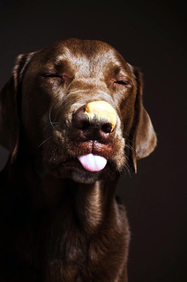☀️Good Morning my friends!!☀️ After... - Bubbles in the Ruff | Facebook