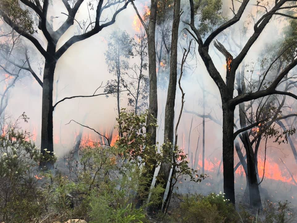 On Thursday 17 Jan electrical... - NSW RFS - Riverina Zone
