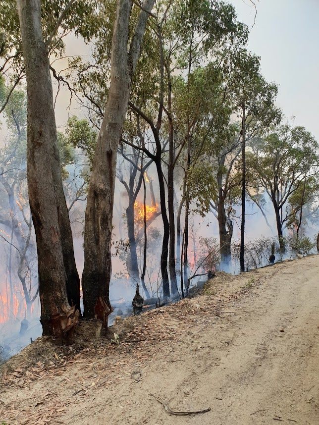 On Thursday 17 Jan electrical... - NSW RFS - Riverina Zone