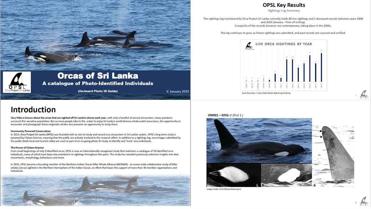 OPSL Orca Project Sri Lanka