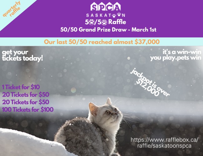 Saskatoon SPCA - Our quarterly raffle is live now, and is...
