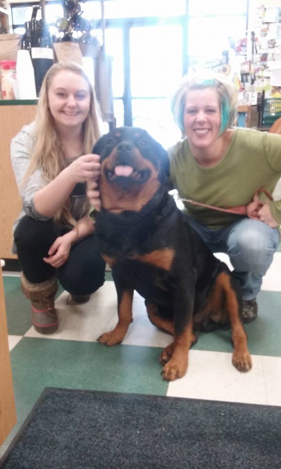 County K Rottweilers added a new... - County K Rottweilers