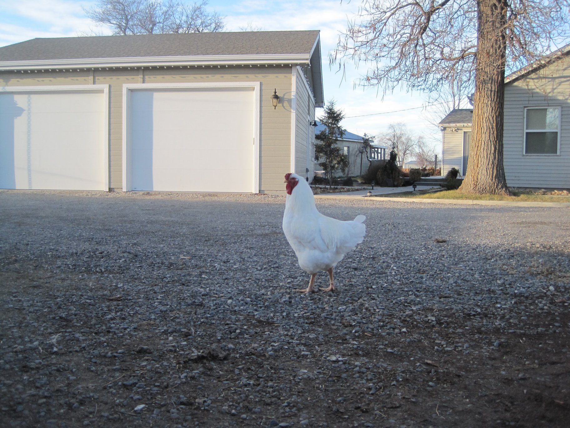 Rockin R Ranch | Kuna ID