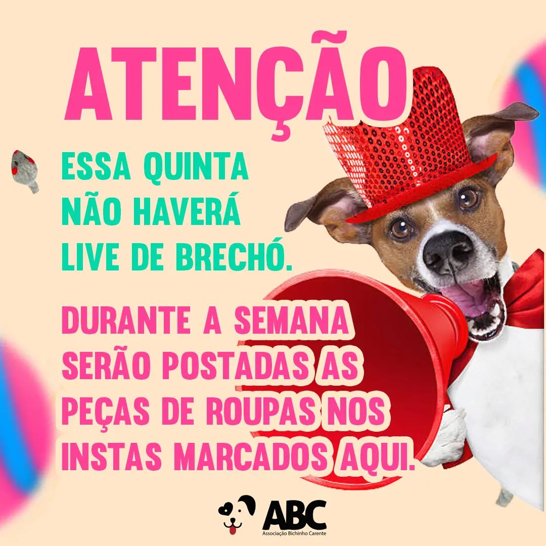 Já segue os perfis... - Associação Bichinho Carente | Facebook