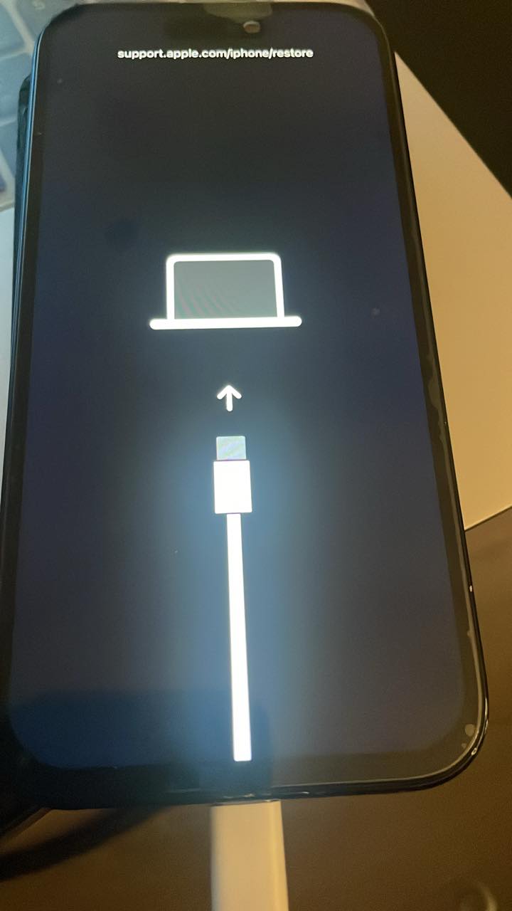 Hello group IPhone 13 pro Stuck on DFU mode how fix