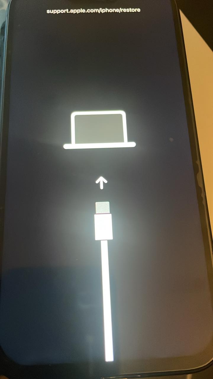 iPhone 13 stuck in DFU mode, which part is the issue?