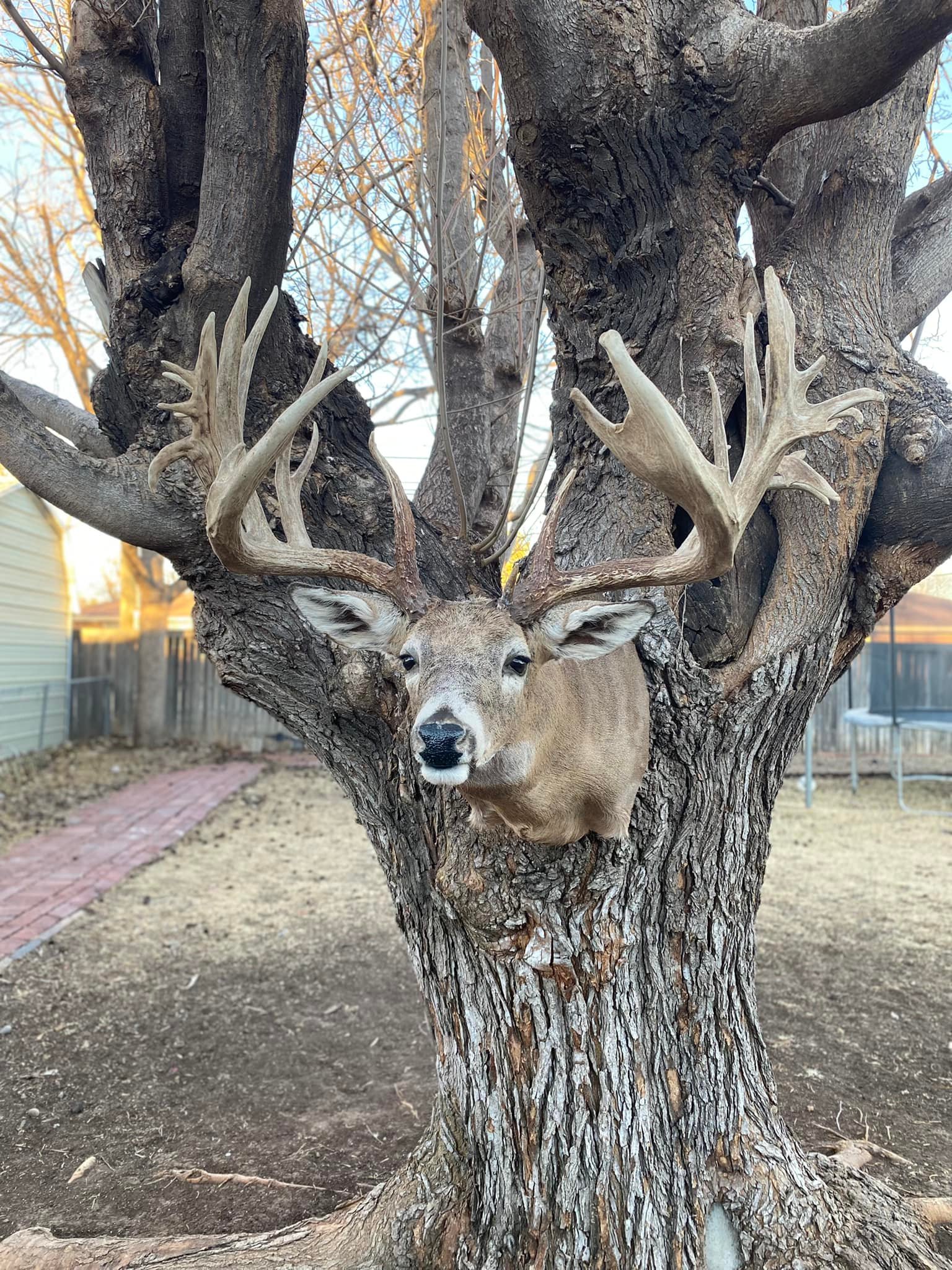 Mendota Ranch