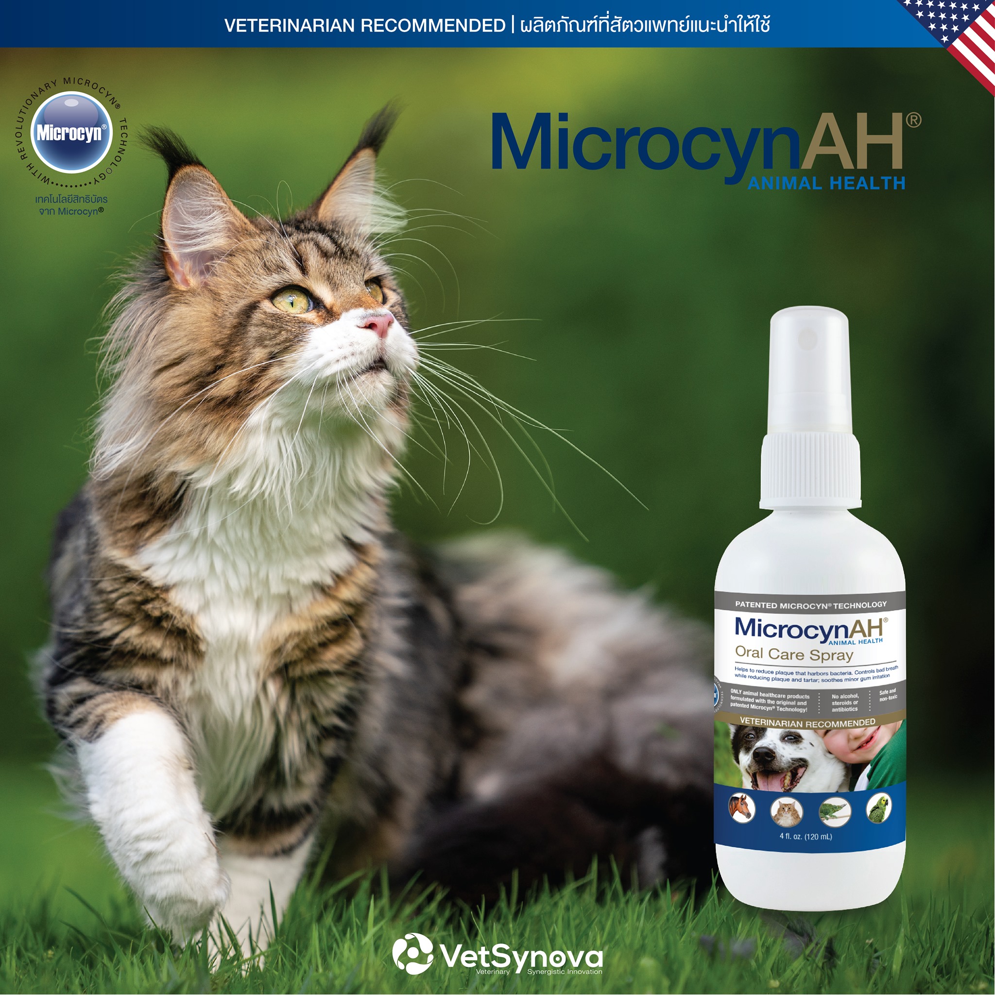 หากน้องแมว มีอาการปากเจ็บ... - Microcyn AH Thailand