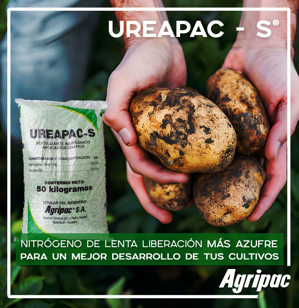 Agripac Perú - 🌱 ¡Novedad en el mundo de la agricultura!... | Facebook