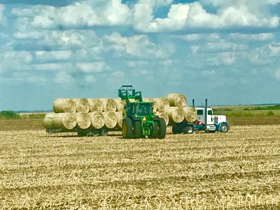 Mabry Custom Hay Baling and Sprigging | Hillsboro TX