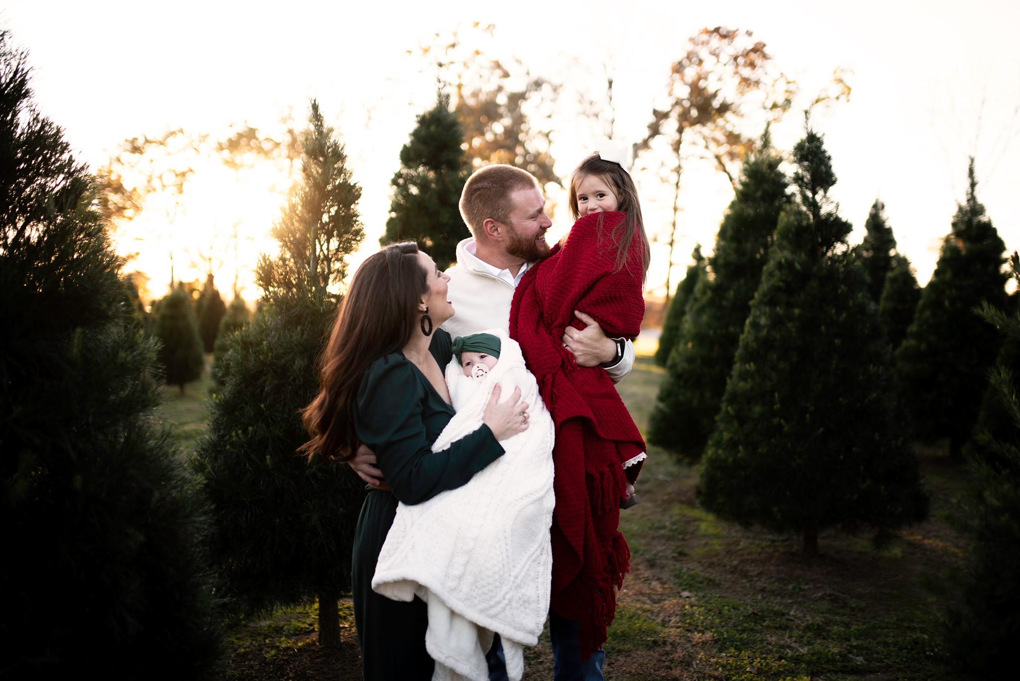 Christmas Tree Farm Minis
