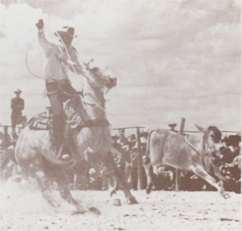 Texas Rodeo Hall of Fame - Pecos, where rodeo history is rich! 🤠 # ...