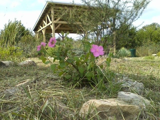 Want to help give Charro Ranch... - City of Dripping Springs | Facebook