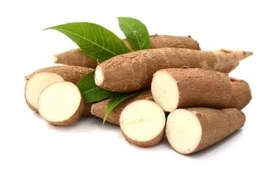 Khasiat Ubi Kayu Yang Ramai Tak Tahu Ubi Kayu Merupakan Sumber Karbohidarat Ketiga Terbesar Di Dunia Ubi Kayu Juga Mempunyai Kandungan Mineral Seperti Kalsium Besi Manganese Serat Diet Fosforus Potasium