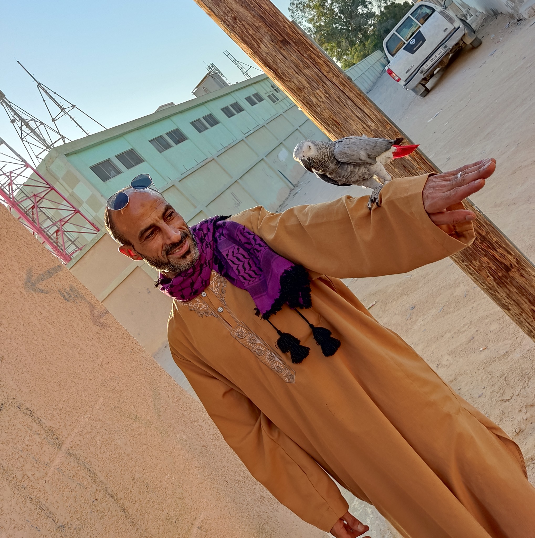 ضرار لازوار