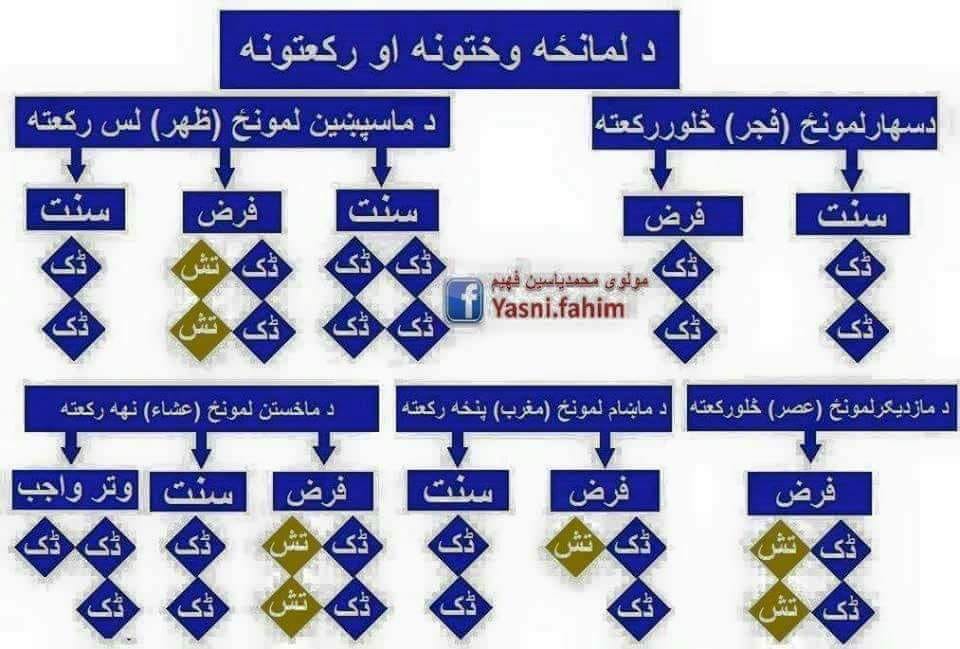 Like.com - د لــــمانځه وختــــونه او رکعتــــونه | Facebook