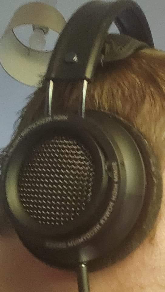 Another Over ear night. Philips Fidelio X2. Single ended 3.5mm