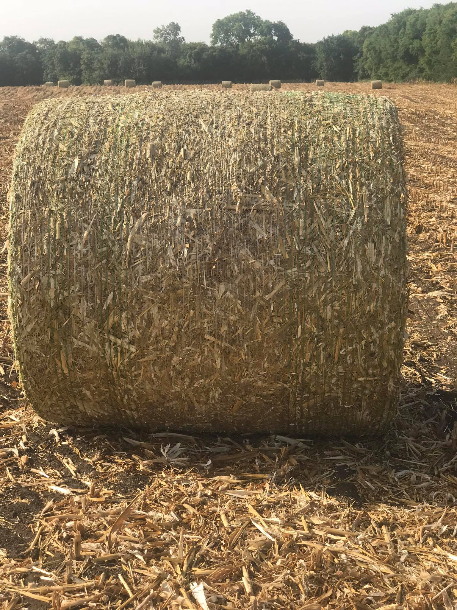 Mabry Custom Hay Baling and Sprigging | Hillsboro TX