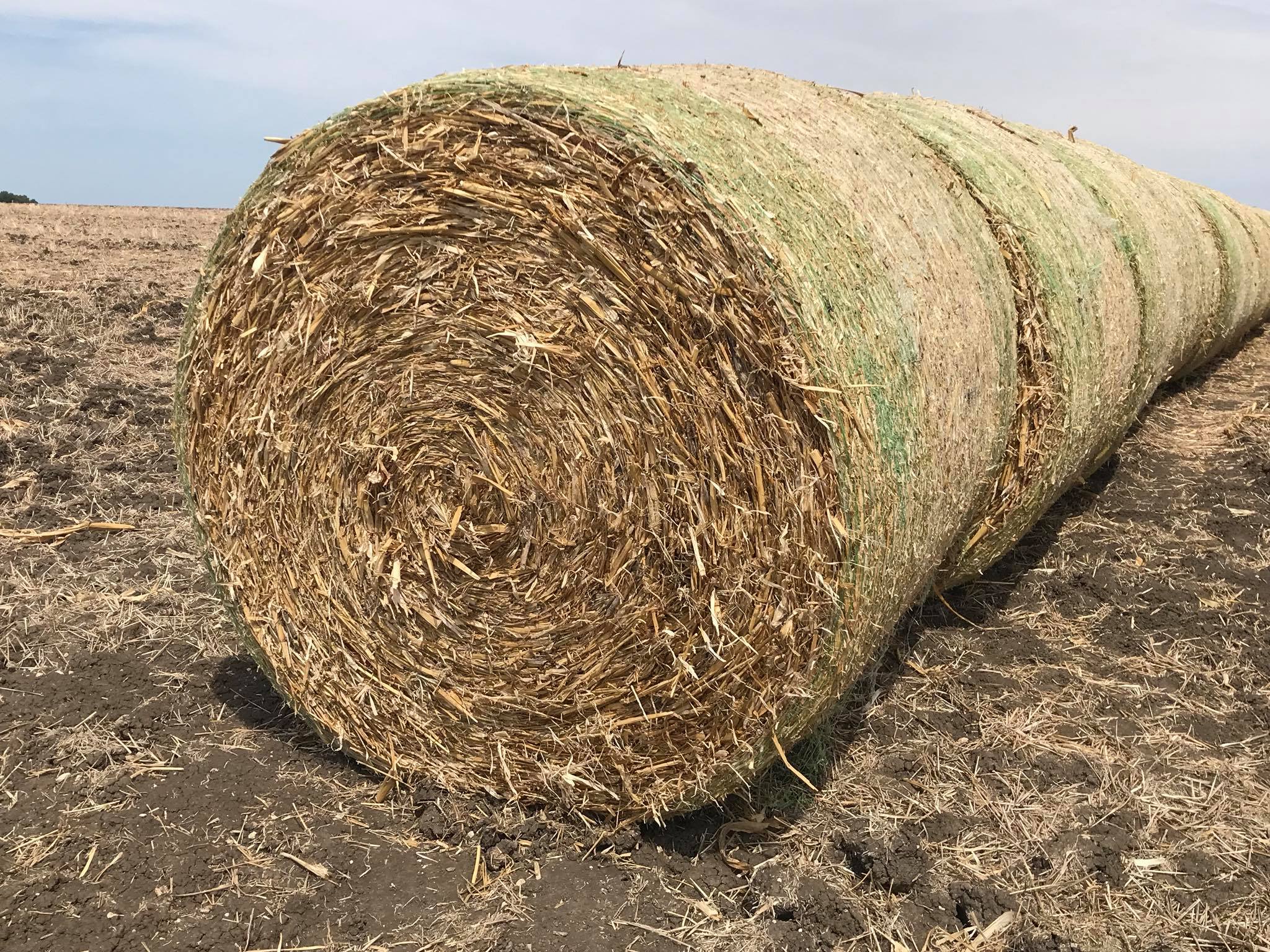 Mabry Custom Hay Baling and Sprigging | Hillsboro TX