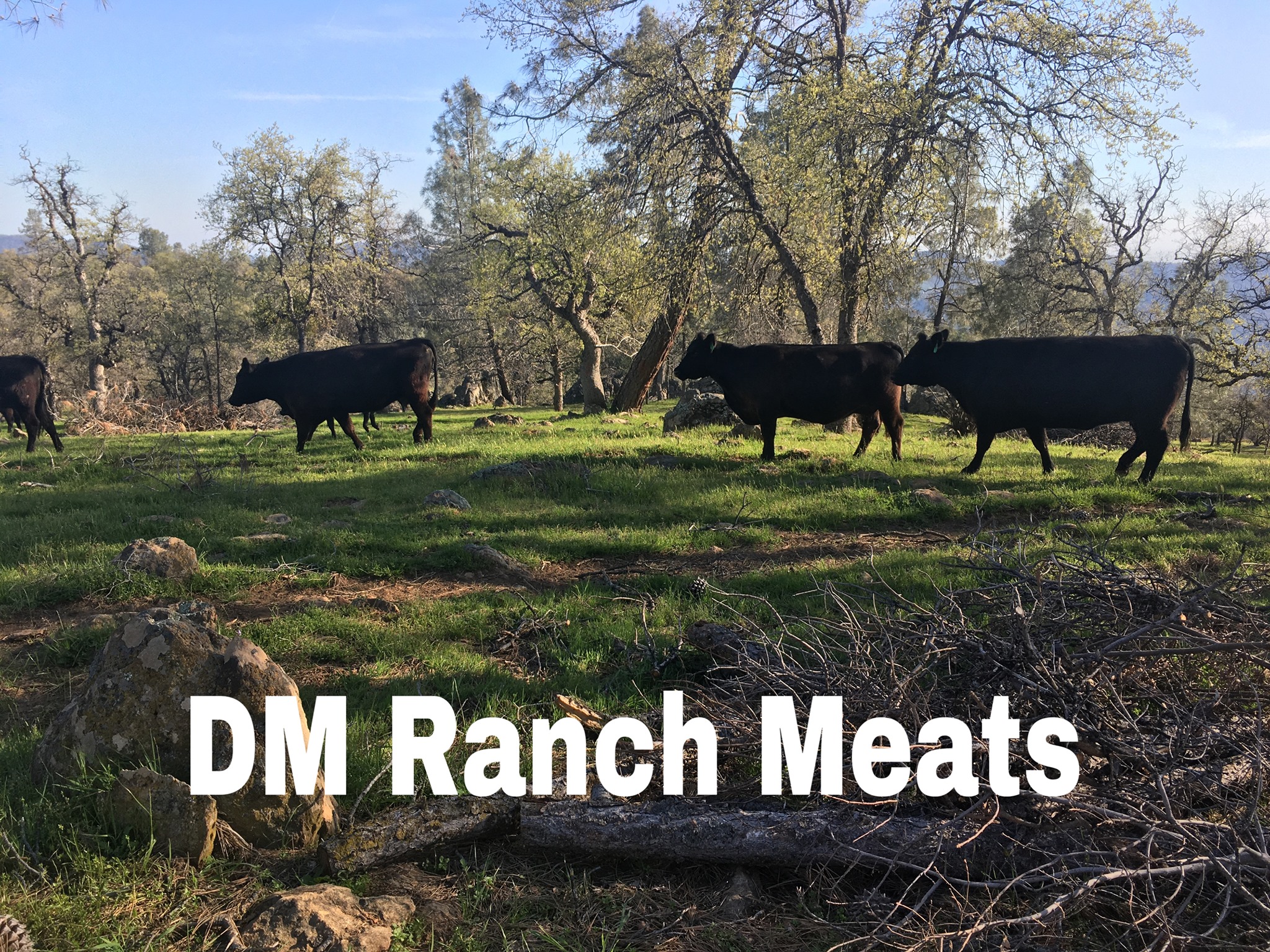 Ranch - We have another May opening!! We will be dropping off May 24th ...