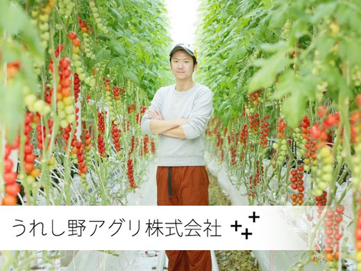 農業をアツく 日本をつよく 辻製油 三井物産 浅井農園 イノチオアグリの合弁事 農業求人サイト 第一次産業ネット Facebook
