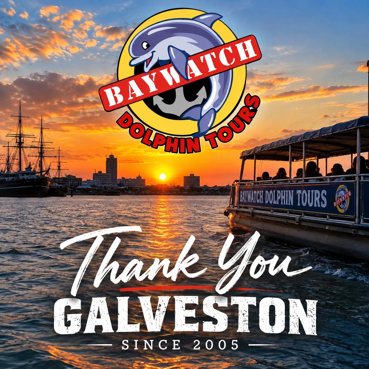 Explore the Bay & Meet Its Playful Residents! 🌊🚤 Hop aboard for an ...