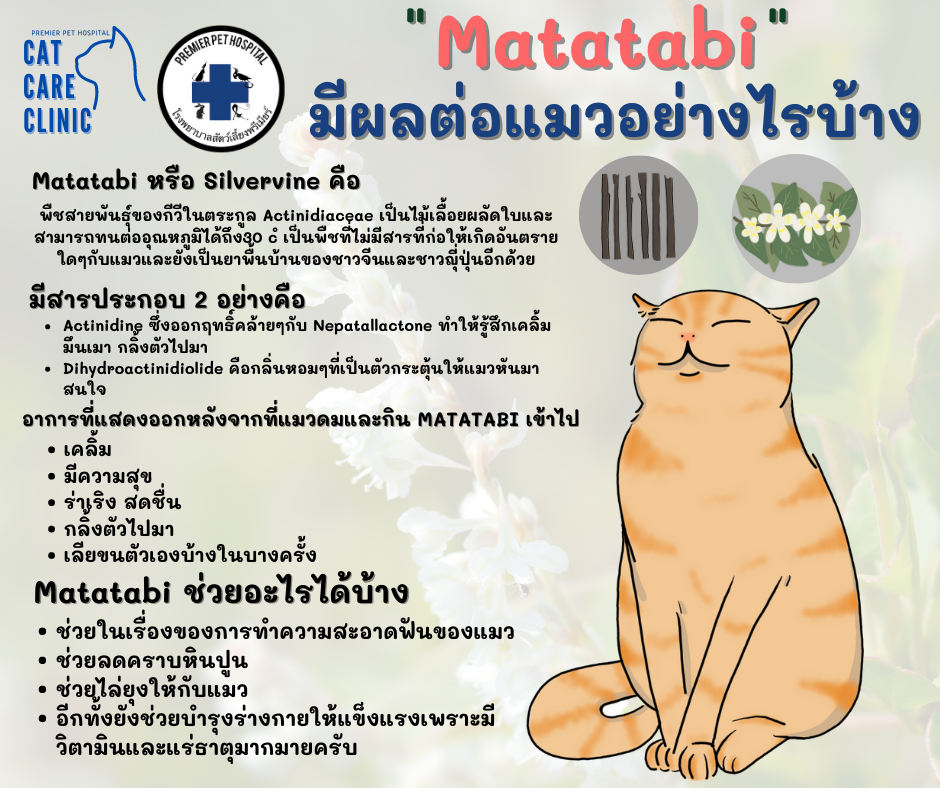 Home Pet Exetic