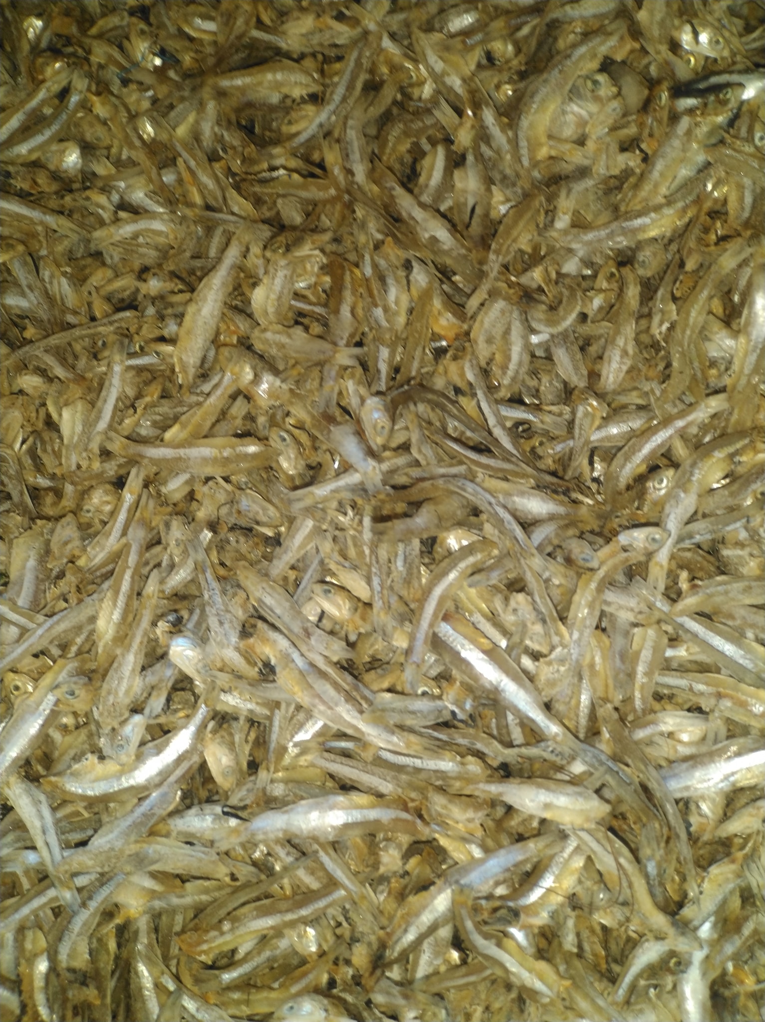 ඩච්බේ දුපත් කල්පිටි කරවල - Dutch bay Island Kalpitiy dry fish added a ...