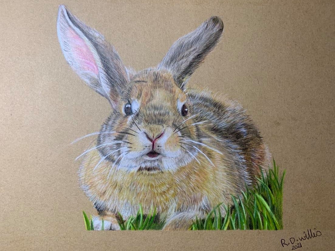 R Willis Art