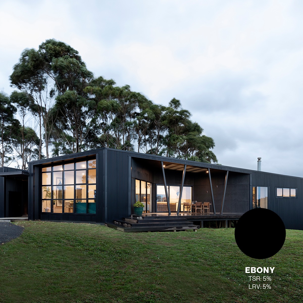 COLORSTEEL - With a backdrop of Eucalyptus trees and views...
