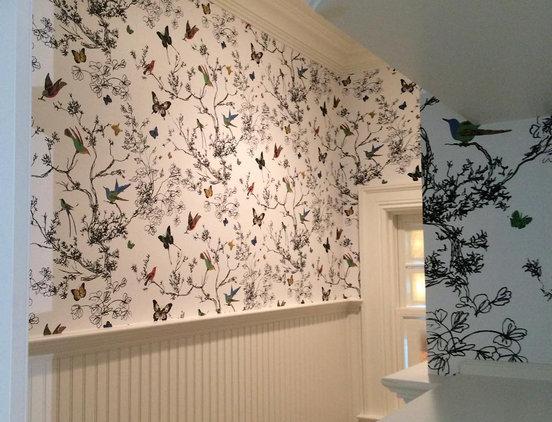 Schumacher Wallpaper Birds And Butterflies