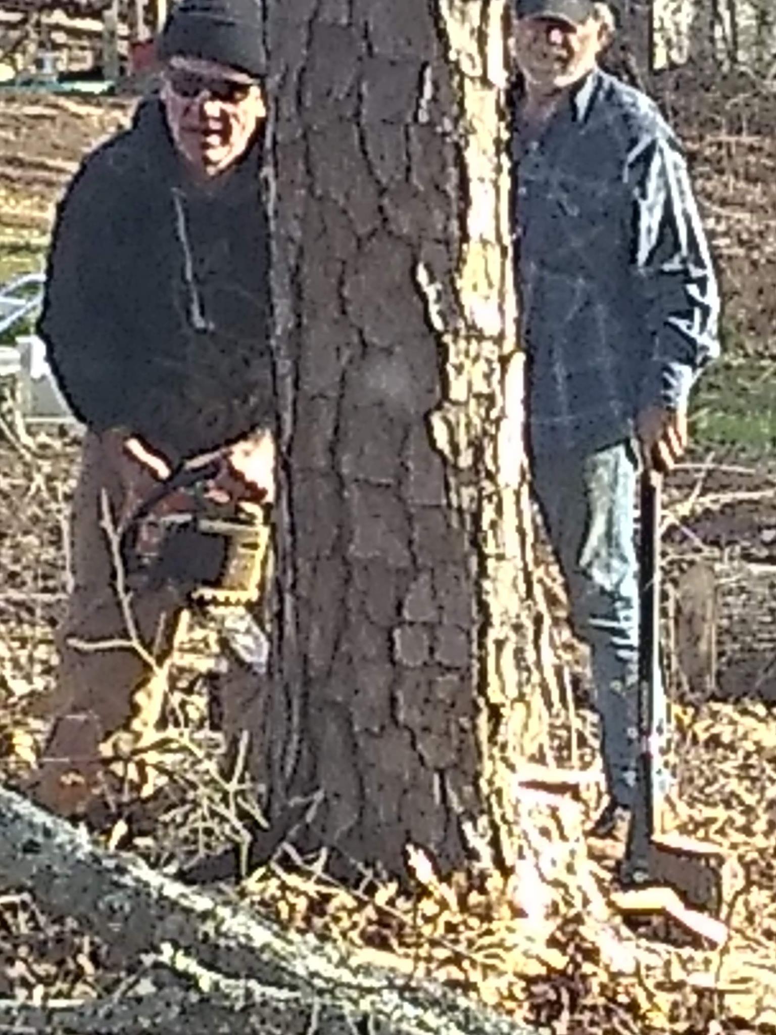 Blue Ridge Tree Service
