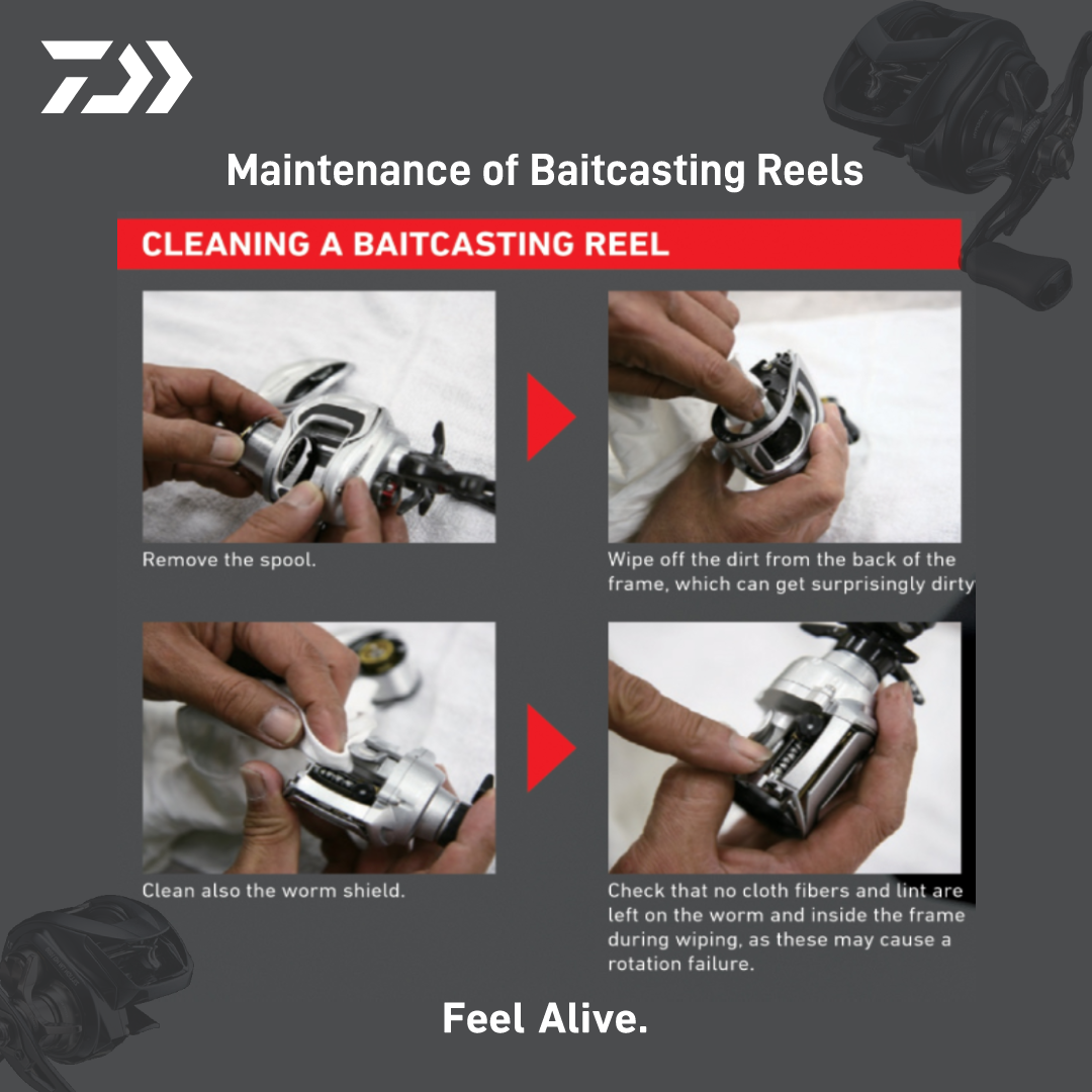 annual baitcasting reel maintenance & Repair Properly Lube a Baitcast Reel
