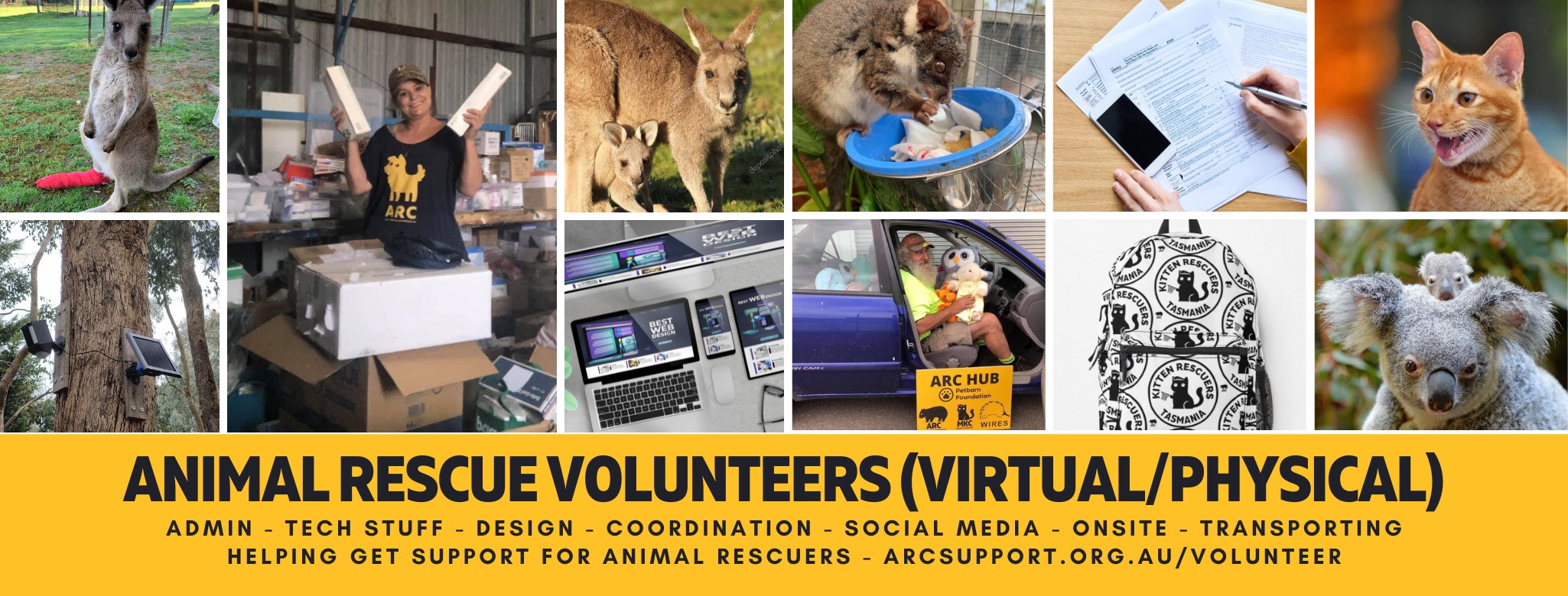 Animal Rescuer Volunteer Odd Jobs (Virtual or Physical)