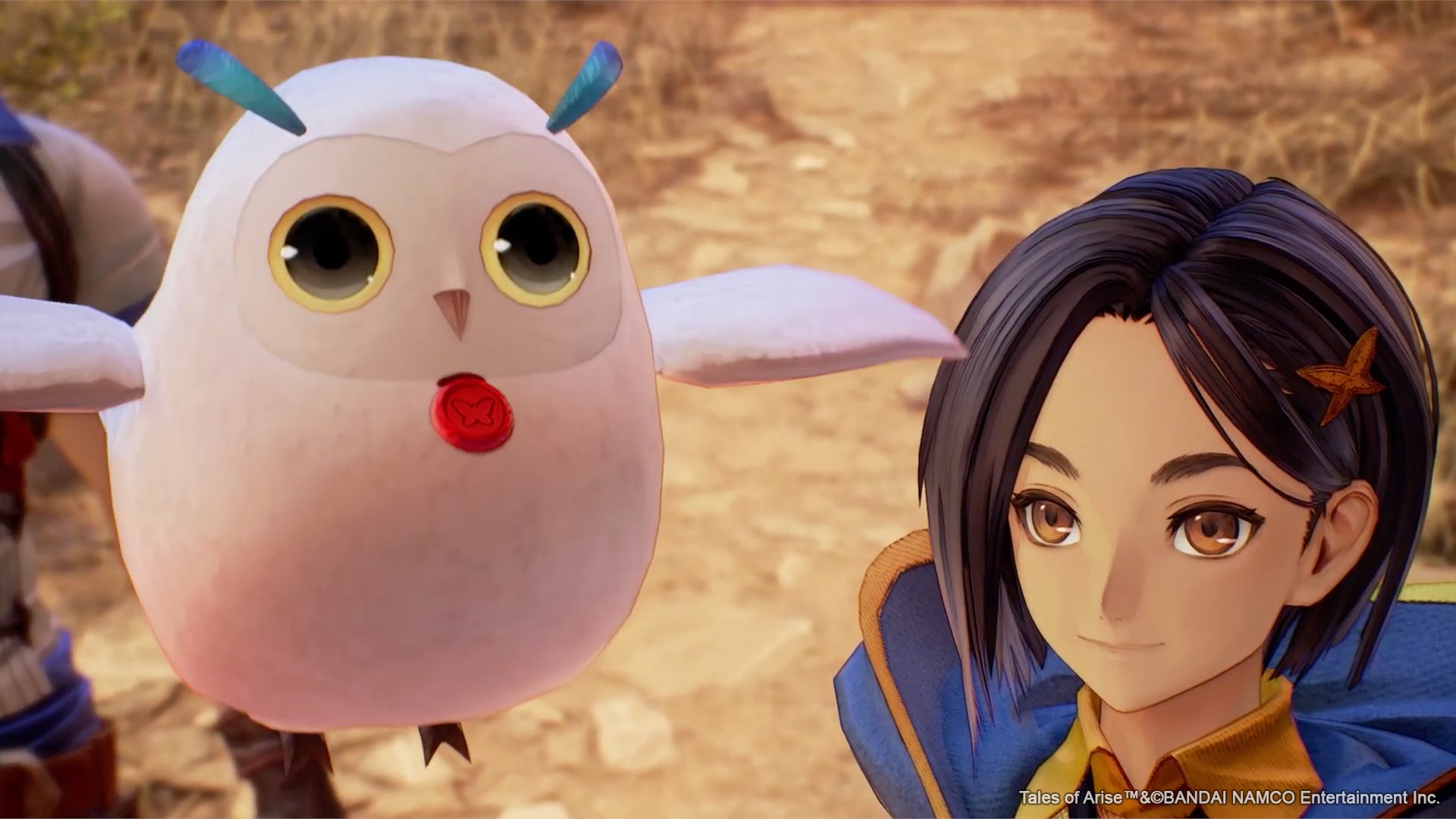 El amor viene en muchas... - BANDAI NAMCO Entertainment