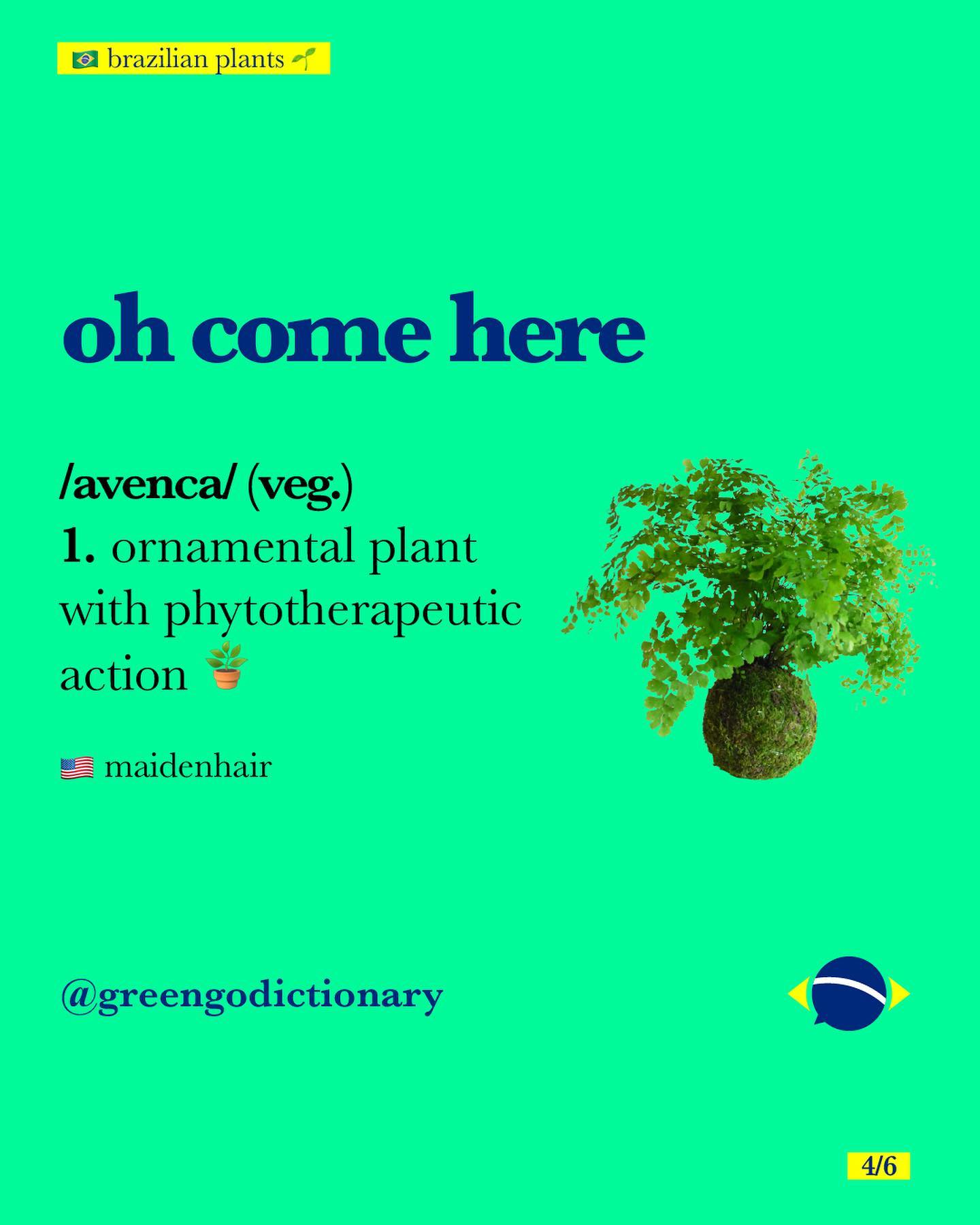 🇧🇷 brazilian plants 🪴 marca os(as)... - Greengo Dictionary