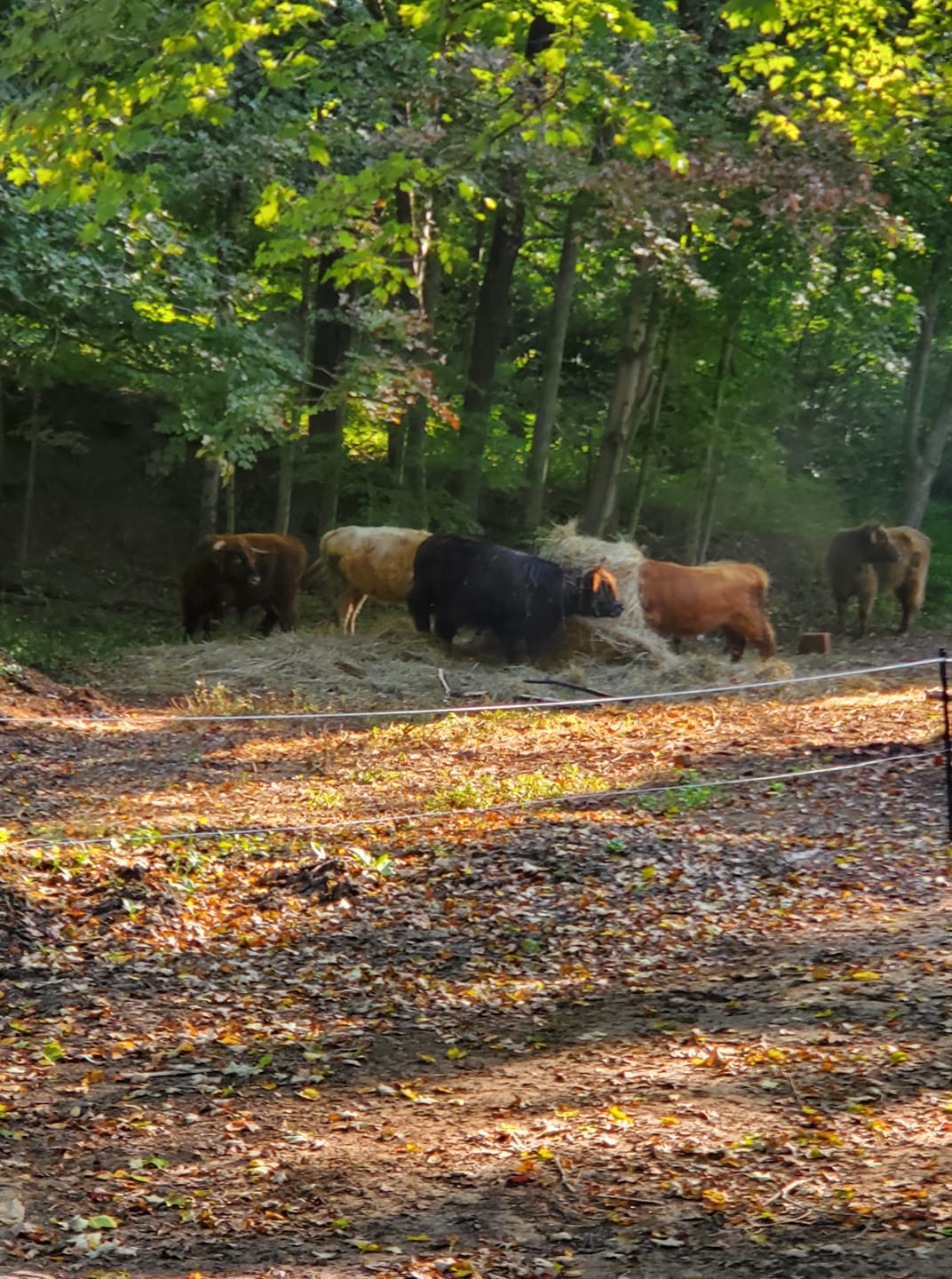Rustic Ridge Farm