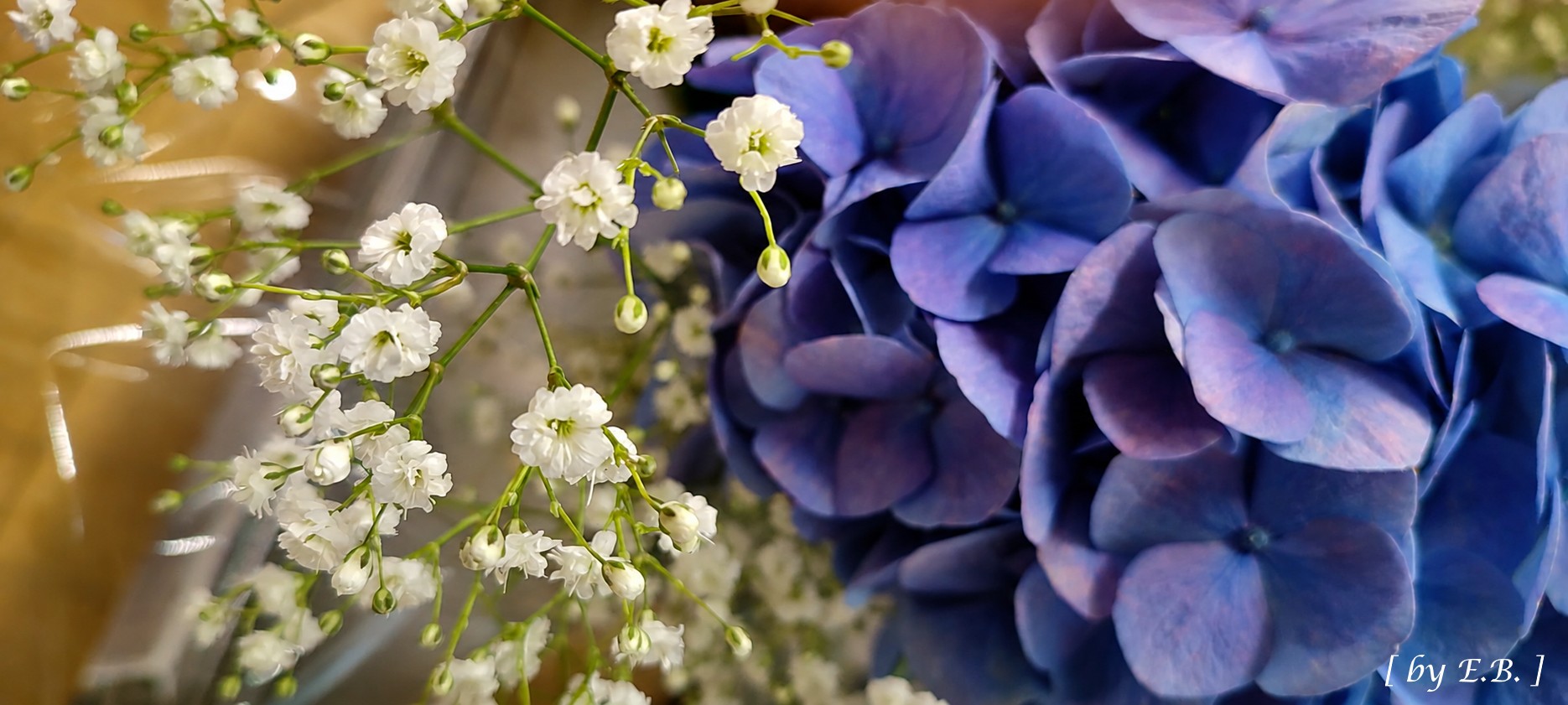 Flower Lovers | Facebook