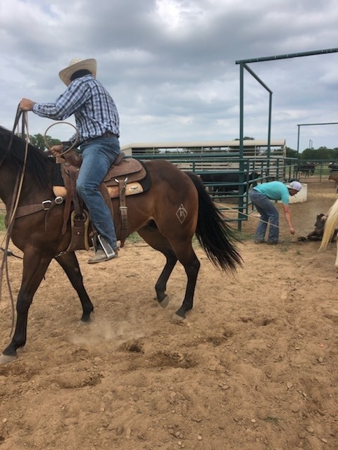 We look forward to our annual... - Reliance Ranches | Facebook
