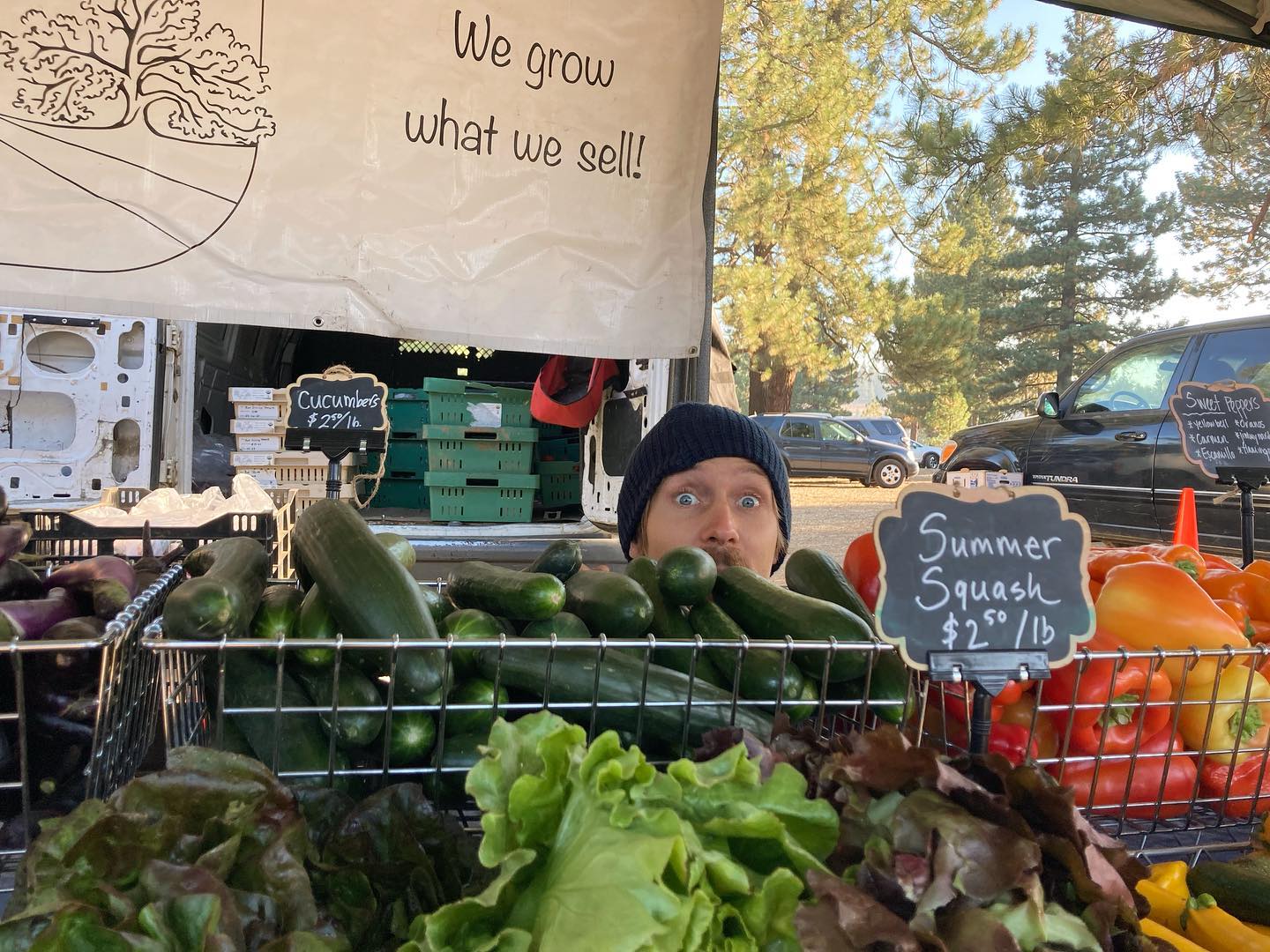 Little Roots Farm